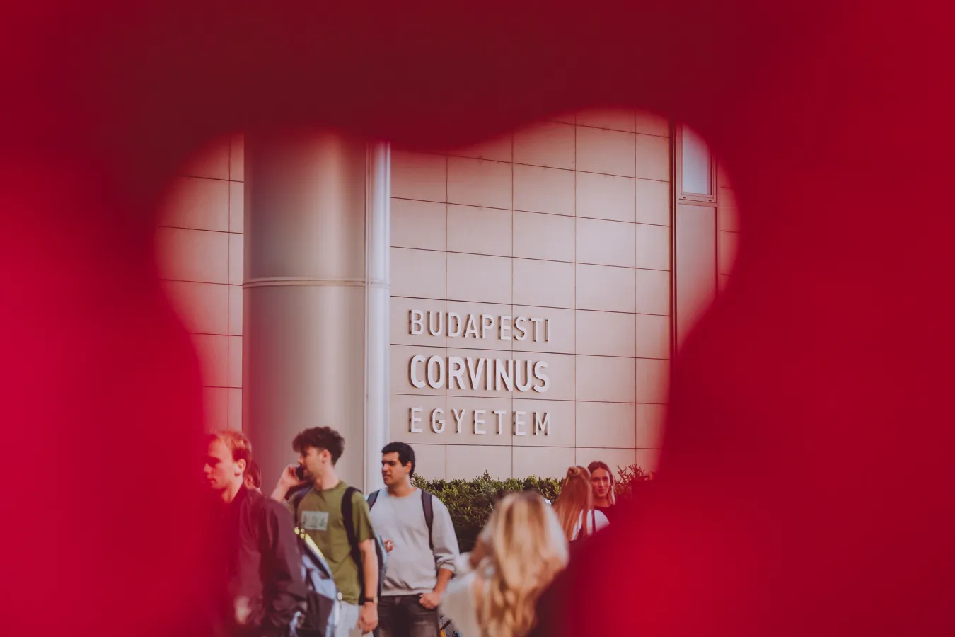 Pohľad cez ružové srdce na nápis Budapesti Corvinus Egyetem